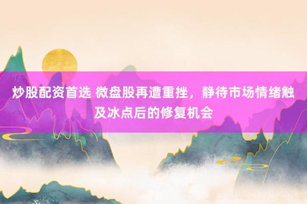 炒股配资首选 微盘股再遭重挫，静待市场情绪触及冰点后的修复机会