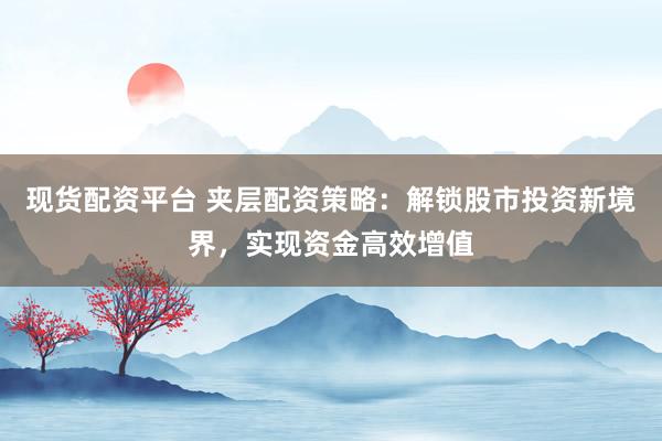 现货配资平台 夹层配资策略：解锁股市投资新境界，实现资金高效增值