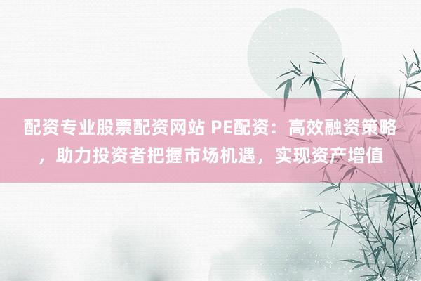 配资专业股票配资网站 PE配资：高效融资策略，助力投资者把握市场机遇，实现资产增值