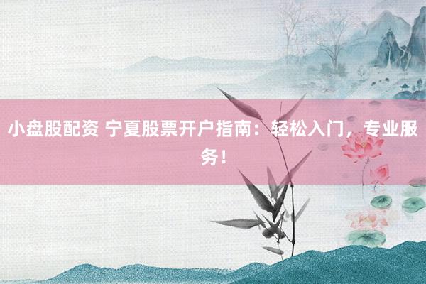 小盘股配资 宁夏股票开户指南：轻松入门，专业服务！