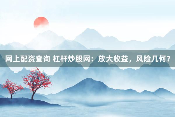 网上配资查询 杠杆炒股网：放大收益，风险几何？