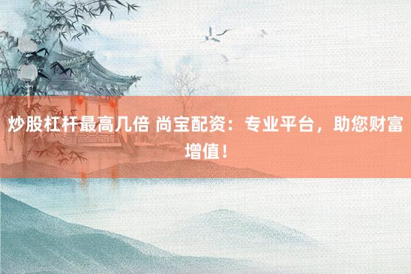 炒股杠杆最高几倍 尚宝配资:专业平台,助您财富增值!