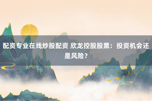 配资专业在线炒股配资 欣龙控股股票:投资机会还是风险?