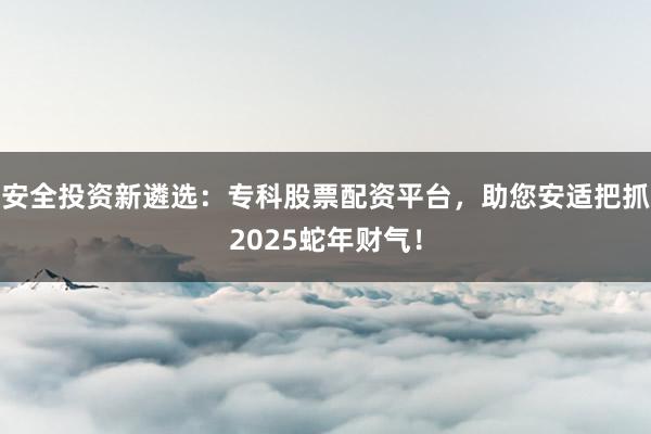 安全投资新遴选：专科股票配资平台，助您安适把抓2025蛇年财气！