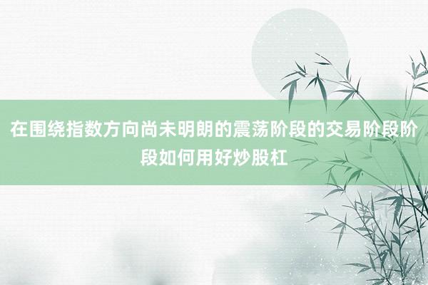 在围绕指数方向尚未明朗的震荡阶段的交易阶段阶段如何用好炒股杠