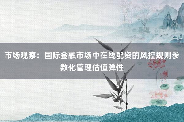 市场观察：国际金融市场中在线配资的风控规则参数化管理估值弹性